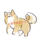 しばけん。（個別スタンプ：4）