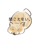 しばけん。（個別スタンプ：7）