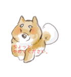 しばけん。（個別スタンプ：8）