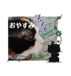 みんなのぬこ（個別スタンプ：22）