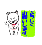 かぼすけの白い犬（個別スタンプ：32）