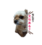 ヨーチワ×ひなちゃん（個別スタンプ：3）