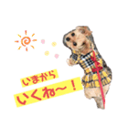 ヨーチワ×ひなちゃん（個別スタンプ：12）