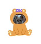 neko123（個別スタンプ：1）