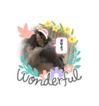 キュートな文鳥たち。1（個別スタンプ：6）