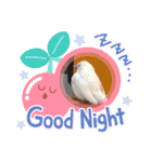キュートな文鳥たち。1（個別スタンプ：7）