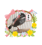 キュートな文鳥たち。1（個別スタンプ：9）
