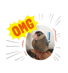 キュートな文鳥たち。1（個別スタンプ：10）
