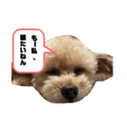 セブンの独り言（個別スタンプ：1）