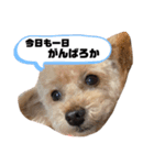 セブンの独り言（個別スタンプ：3）