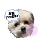 セブンの独り言（個別スタンプ：5）