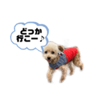 セブンの独り言（個別スタンプ：8）