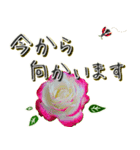 上品な薔薇〜連絡用〜（個別スタンプ：21）