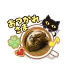 ♡にゃんず4♡（個別スタンプ：3）