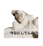 オレオのスタンプ（part.1）（個別スタンプ：6）