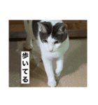 オレオのスタンプ（part.1）（個別スタンプ：7）