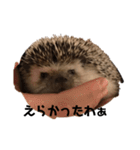 ハリネズミのさくらちゃん桑名弁（個別スタンプ：4）