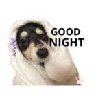 LEIさま（個別スタンプ：9）