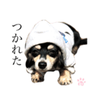 LEIさま（個別スタンプ：10）