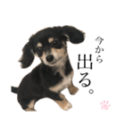 LEIさま（個別スタンプ：11）