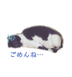 プクの日常（個別スタンプ：4）