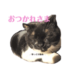 プクの日常（個別スタンプ：5）