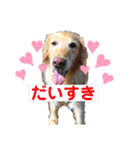 SAKURA_F（個別スタンプ：15）