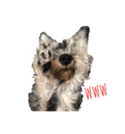 DOGSSS02（個別スタンプ：1）