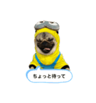 DOGSSS02（個別スタンプ：4）