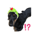 DOGSSS02（個別スタンプ：7）