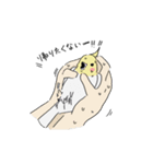 オカメver.1（個別スタンプ：7）