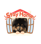 ルークと！（個別スタンプ：4）