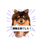 ルークと！（個別スタンプ：5）