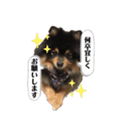 ルークと！（個別スタンプ：6）