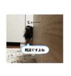 ルークと！（個別スタンプ：7）