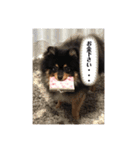 ルークと！（個別スタンプ：8）