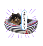 ルークと！（個別スタンプ：9）