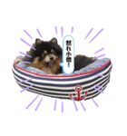 ルークと！（個別スタンプ：10）