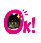 ルークと！（個別スタンプ：11）