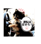 ルークと！（個別スタンプ：13）