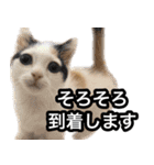 あおなみ線☆駅名 スタンプ（個別スタンプ：14）