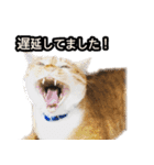あおなみ線☆駅名 スタンプ（個別スタンプ：15）