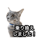 あおなみ線☆駅名 スタンプ（個別スタンプ：16）