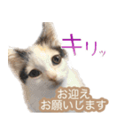 あおなみ線☆駅名 スタンプ（個別スタンプ：18）