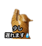 あおなみ線☆駅名 スタンプ（個別スタンプ：19）