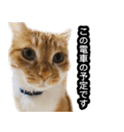 あおなみ線☆駅名 スタンプ（個別スタンプ：20）