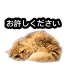 あおなみ線☆駅名 スタンプ（個別スタンプ：23）