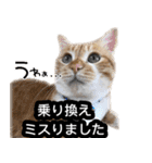 あおなみ線☆駅名 スタンプ（個別スタンプ：24）