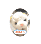 ソラくんと愉快な仲間達♬（個別スタンプ：1）