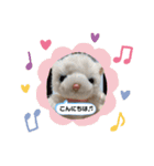 ソラくんと愉快な仲間達♬（個別スタンプ：3）
